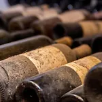 Posestvo Scurek Wine