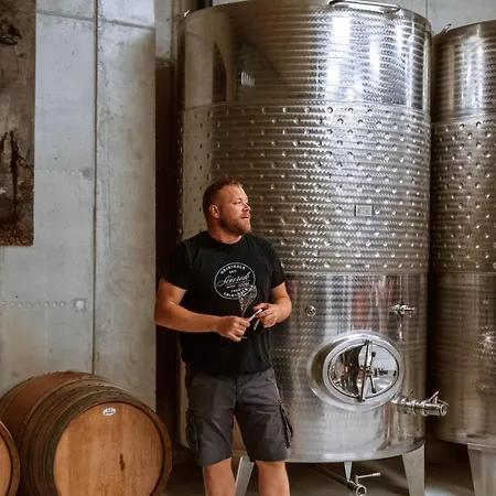 krevet i doručak Posestvo Scurek Wine Dobrovo