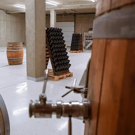 Bed & Breakfast Posestvo Scurek Wine