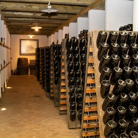 Bed & Breakfast Posestvo Scurek Wine *