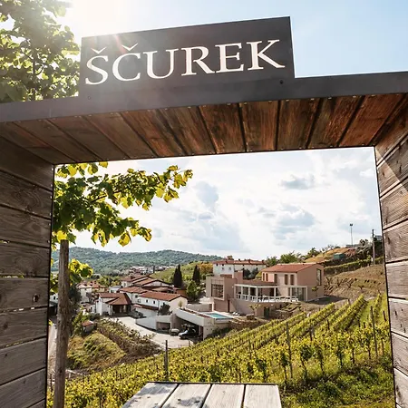 Bed & Breakfast Posestvo Scurek Wine *