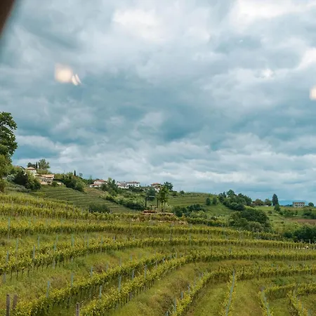 Posestvo Scurek Wine 4* Dobrovo