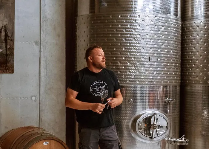 Bed and Breakfast Posestvo Scurek Wine Dobrovo