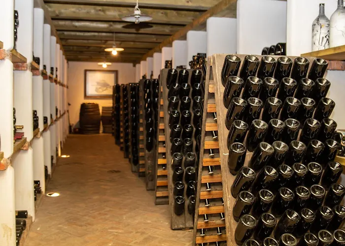 Nočitev z zajtrkom Posestvo Scurek Wine 4*