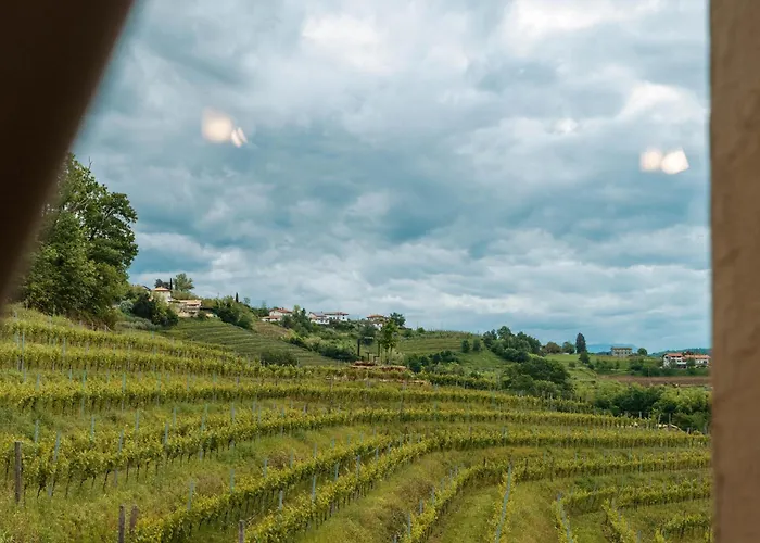 Posestvo Scurek Wine 4* Dobrovo